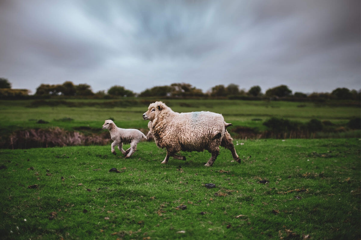 Standard Post with Image